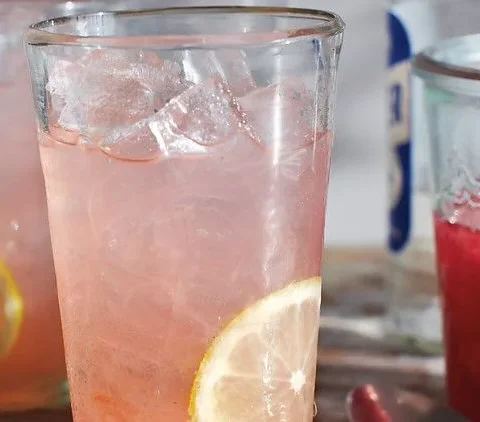 Rhubarb fizz cocktail in a glass with lemon round garnish, martha stewart rhubarb fizz recipe