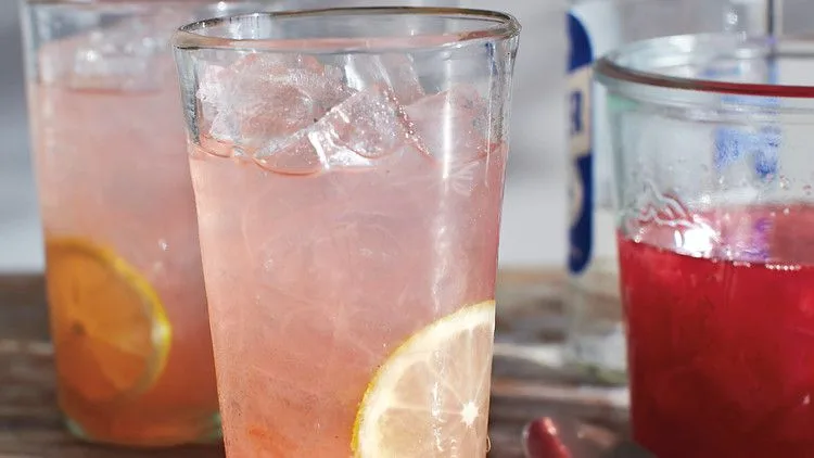 Rhubarb fizz cocktail in a glass with lemon round garnish, martha stewart rhubarb fizz recipe