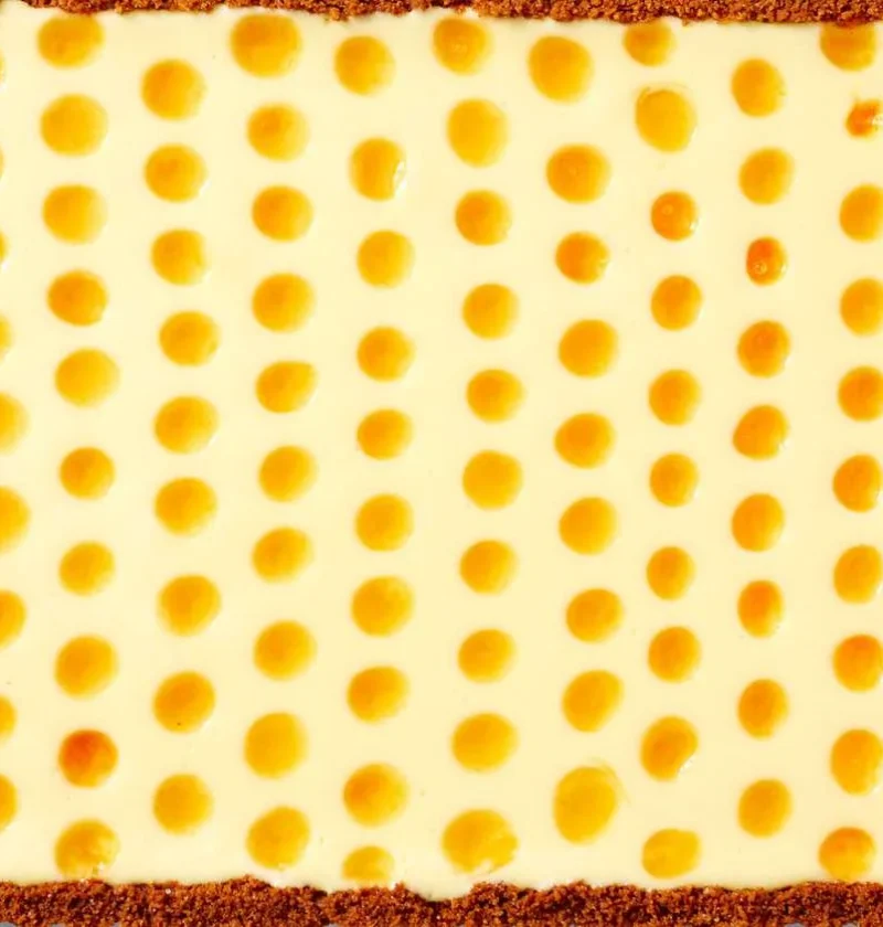 Martha Stewart apricot cheesecake tart with evenly spaced apricot jam dots on a graham cracker crust