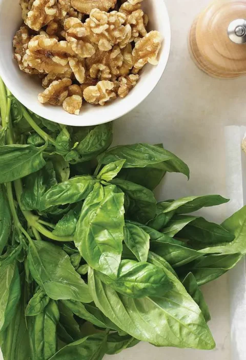 Ingredients for Martha Stewart basil pesto: fresh basil leaves, a bowl of walnuts, garlic, coarse salt and frozen pesto cubes