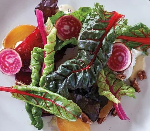 Martha Stewart beet salad with honey-lavender dressing, with roasted yellow and red beets, chard, pecans and thin Chioggia beet slices on a white plate