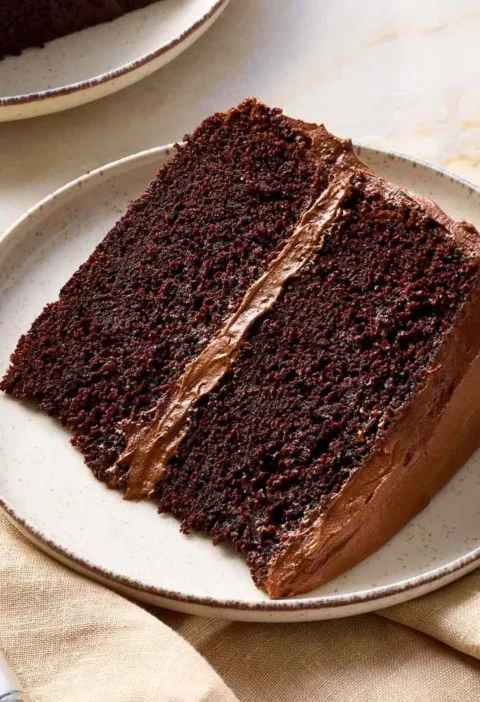 Slice of Martha Stewart best chocolate cake with two moist layers and chocolate frosting on a cream plate with a fork